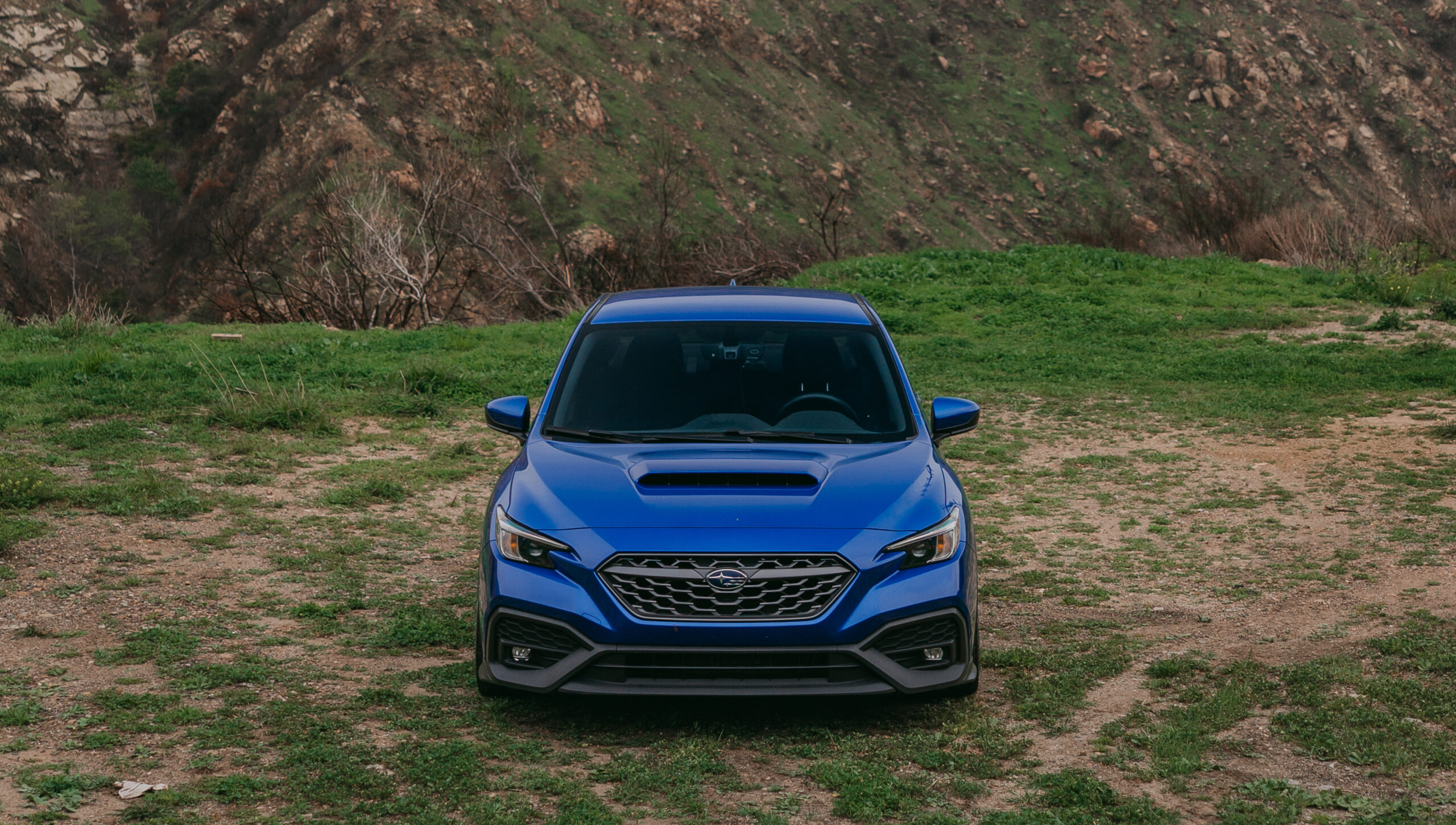 2022 Subaru WRX