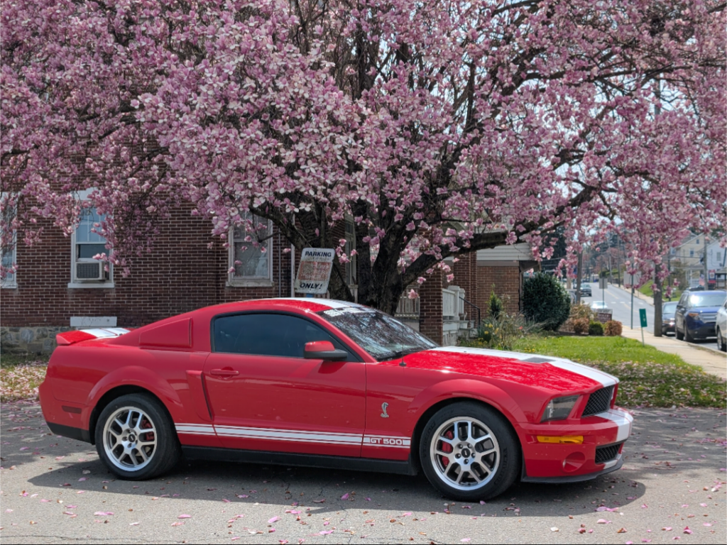 2009 Ford Shelby GT500