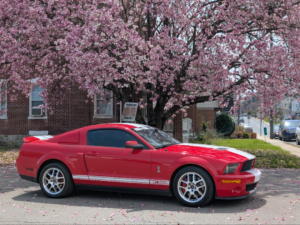2009 Ford Shelby GT500