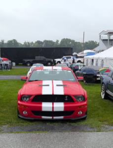 2009 Ford Shelby GT500