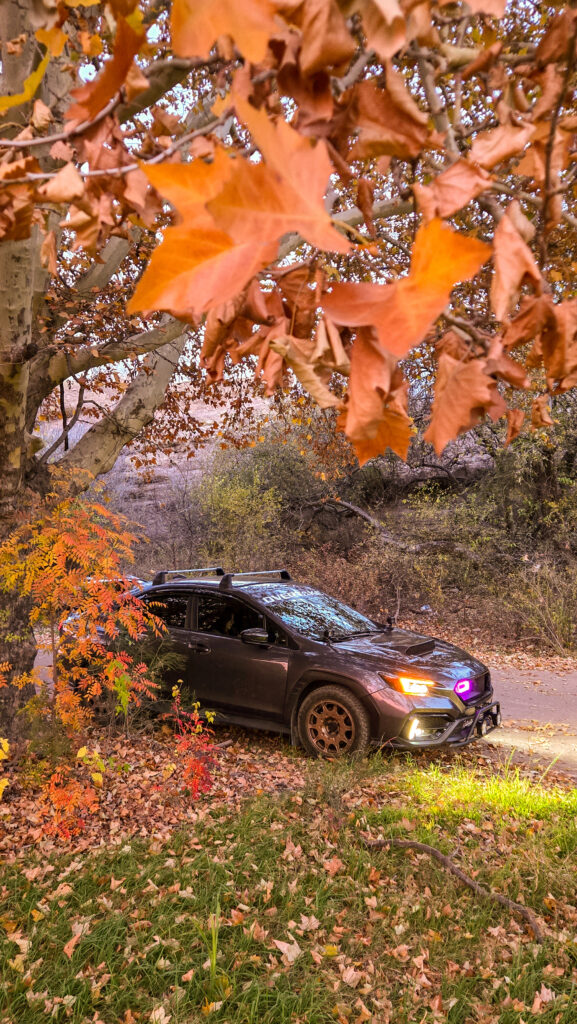 2022 Subaru WRX