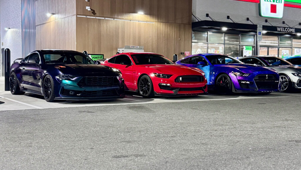 Carolina Stangs