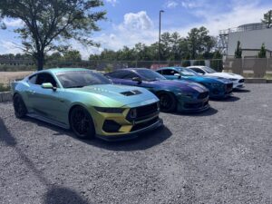 Carolina Stangs