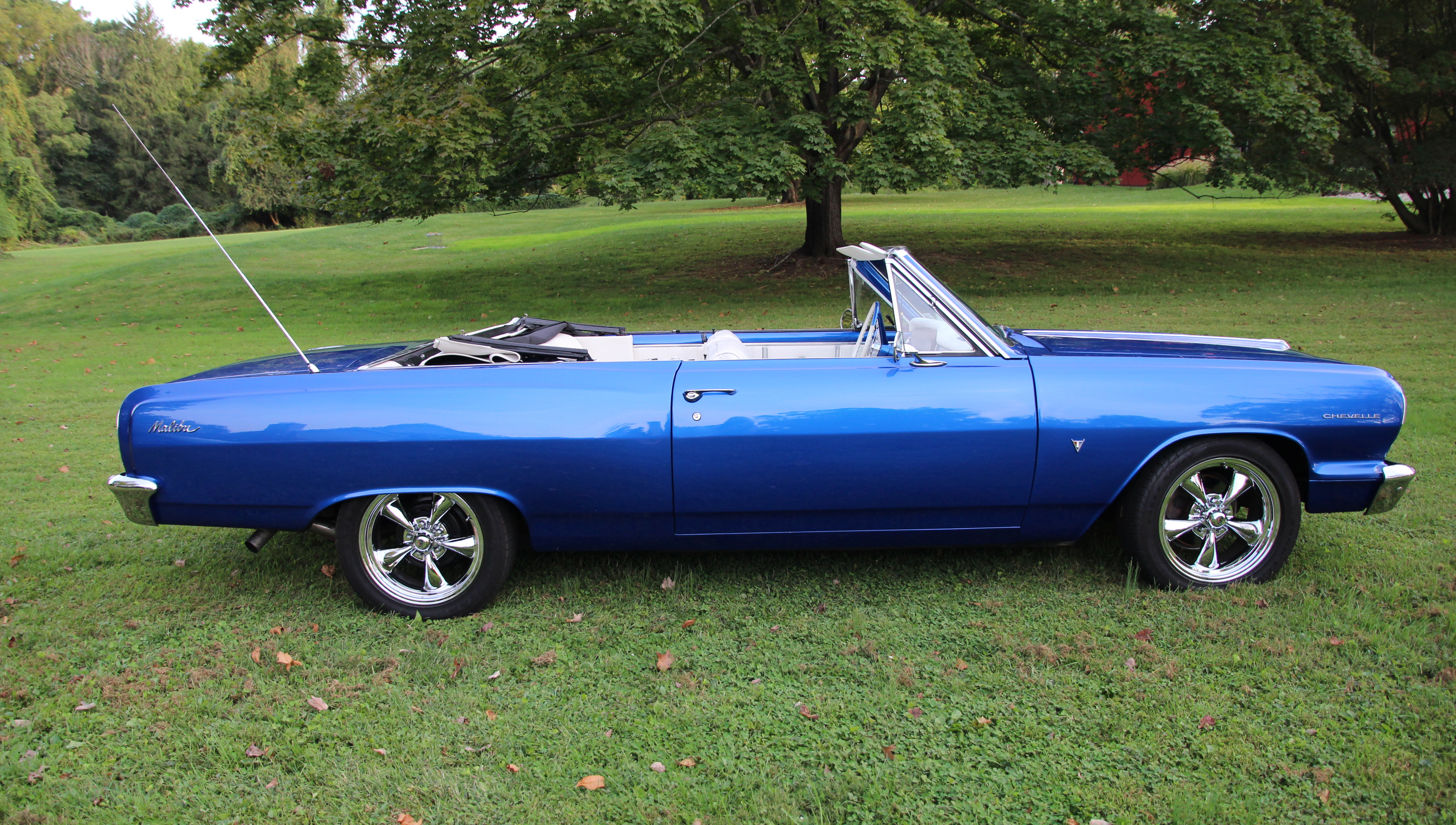 1964 Chevrolet Malibu